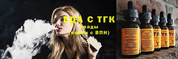 тгк Дмитров