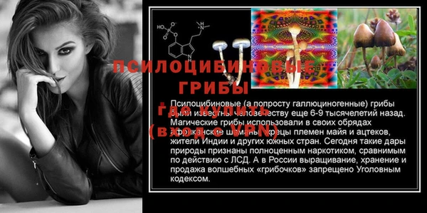 тгк Дмитров