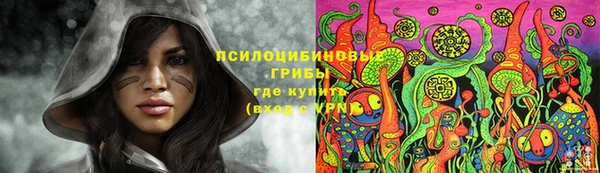 тгк Дмитров