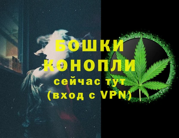 тгк Дмитров
