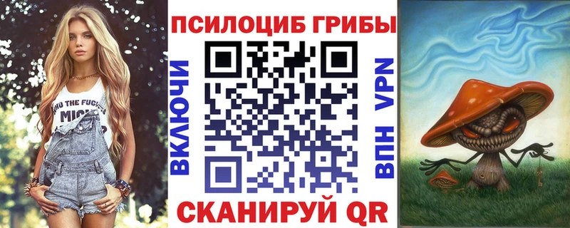 Псилоцибиновые грибы Psilocybine cubensis  Северодвинск 