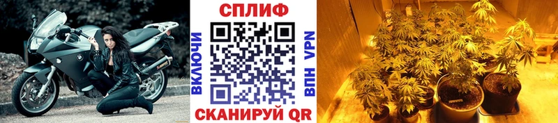 МАРИХУАНА THC 21%  это какой сайт  Северодвинск  магазин продажи  